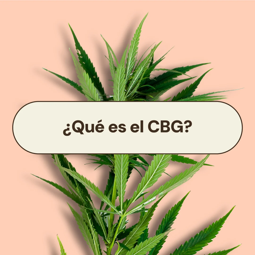 que es el cbg